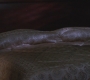 SPN_0760.jpg
