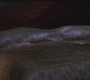 SPN_0762.jpg