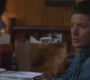 SPN_0894.jpg