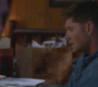 SPN_0909.jpg