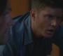 SPN_0919.jpg