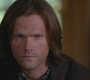SPN_0965.jpg