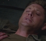 SPN_1103.jpg