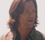 SPN_1174.jpg