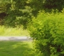 SPN_1182.jpg