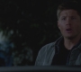 SPN_0187.jpg