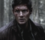 SPN_0230.jpg