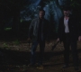 SPN_0700.jpg