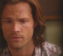 SPN_1108.jpg