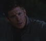 SPN_1255.jpg