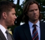 SPN_0217.jpg
