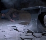SPN_1257.jpg