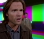 SPN_1266.jpg