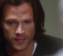 SPN_1395.jpg