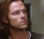 SPN_1407.jpg