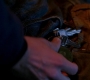 SPN_0812.jpg