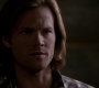 SPN_1229.jpg