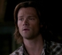 SPN_1238.jpg