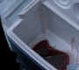 SPN_1284.jpg