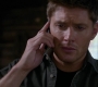 SPN_1317.jpg