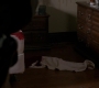 SPN_0151.jpg