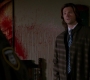 SPN_0175.jpg