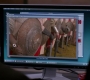 SPN_0371.jpg