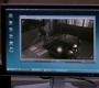 SPN_0424.jpg