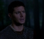 SPN_1131.jpg