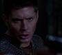 SPN_1153.jpg