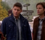 SPN_1408.jpg