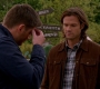 SPN_1428.jpg