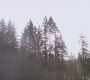 SPN_1447.jpg