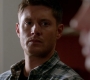 SPN_0246.jpg