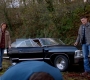 SPN_0425.jpg