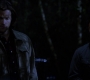SPN_0788.jpg
