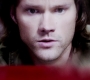 SPN_0820.jpg