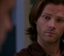 SPN_0995.jpg
