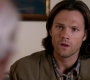SPN_1146.jpg