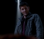 SPN_1364.jpg