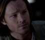 SPN_1376.jpg
