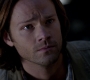 SPN_1377.jpg