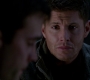 SPN_1378.jpg