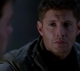 SPN_1384.jpg