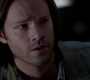 SPN_1385.jpg