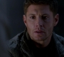 SPN_1395.jpg