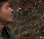 SPN_0133.jpg