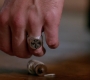 SPN_1361.jpg