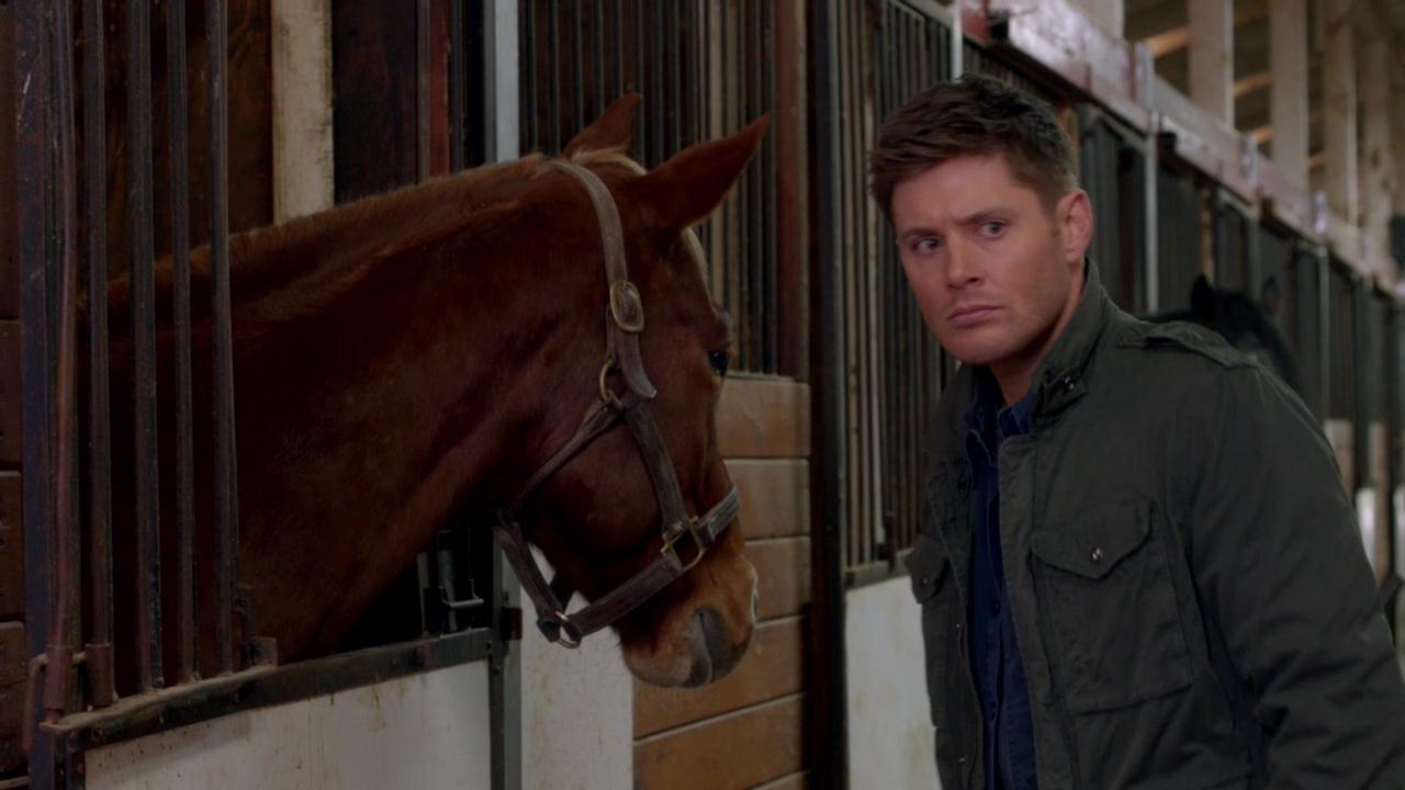 SPN_0512.jpg