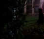 SPN_0393.jpg